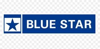 Blue Star RO repair service in Delhi NCR